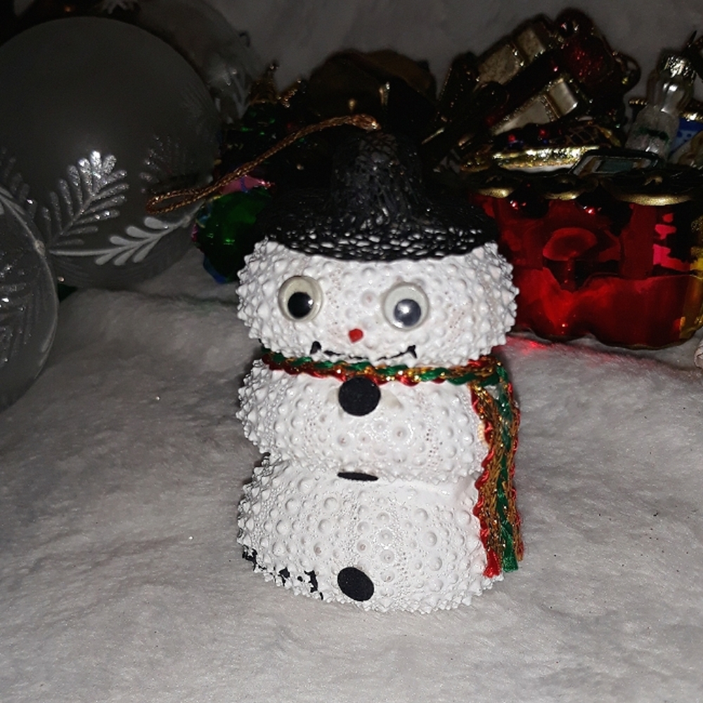 snowman made from 3 sea urchins has an adorable stubby spike body & googly eyes